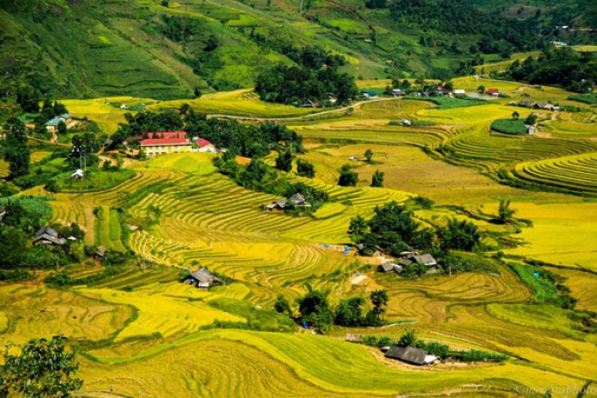 Day 3: Hang Da - Hau Chu Ngai - Giang Ta Chai - Sapa (Distance 14 Km - Duration 5-6 H Walking) (Breakfast, Lunch)